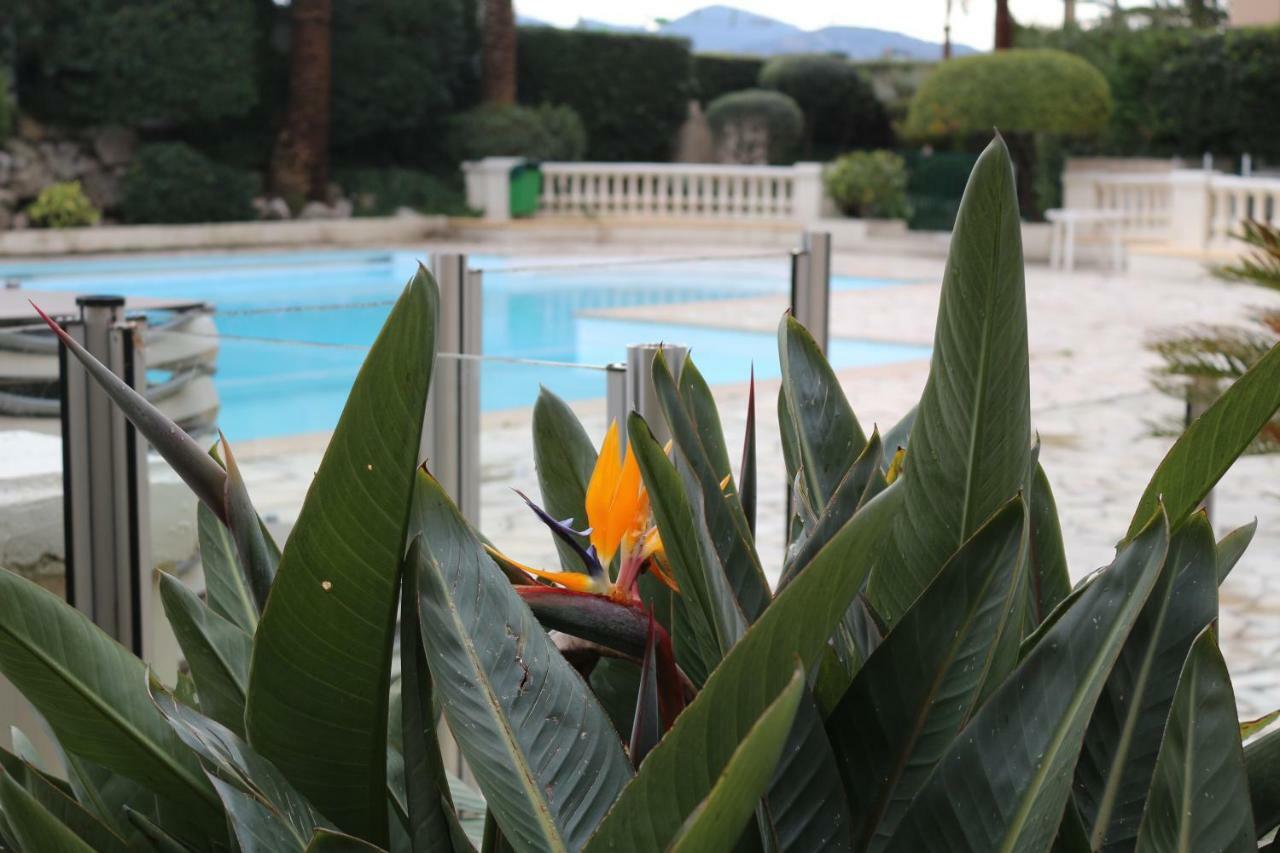 Appartement Palm D'Azur Cannes Exteriér fotografie